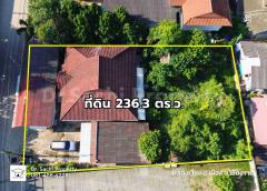 ขายที่ดินทำเลทอง ศักยภาพสูง พร้อมสิ่งปลูกสร้าง 236.3 ตรว. ใกล้โรงเรียนสันติวิทยา เชียงราย เพียง 180 ม.-202503191041001742355660033.jpg