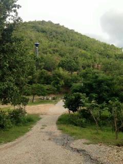 ขายที่ดิน7ไร่กว่าพร้อมบ้านใหม่ๆหลายหลังพร้อมเข้าอยู่อาศัยหรือเปิดเป็นรีสอร์ตให้พักได้เลย อยู่ในตัวเมืองกาญจนบุรีห่างถนนใหญ่สี่เลนบายพาส500เมตร ขายถูกมากๆขายเพียง6ล้านเทานั้น-202503191330081742365808301.jpeg