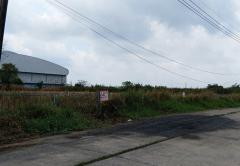 ขายที่ดิน ฉลองกรุง ซอยวัดอู่ตะเภา ถนนฉลองกรุง เนื้อที่ 1 ไร่ เหมาะสร้างโรงงาน-202503191348401742366920363.jpg