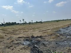 ขายที่ดินแปลงใหญ่และสวย พุทธมณฑลสาย5-202503191536301742373390923.jpg