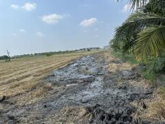 ขายที่ดินแปลงใหญ่และสวย พุทธมณฑลสาย5-202503191536311742373391721.jpg