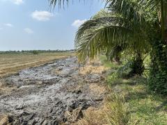 ขายที่ดินแปลงใหญ่และสวย พุทธมณฑลสาย5-202503191536321742373392881.jpg