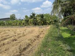 ขายที่ดินแปลงใหญ่และสวย พุทธมณฑลสาย5-202503191536351742373395003.jpg