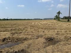 ขายที่ดินแปลงใหญ่และสวย พุทธมณฑลสาย5-202503191536351742373395680.jpg