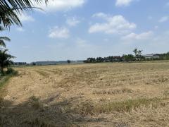 ขายที่ดินแปลงใหญ่และสวย พุทธมณฑลสาย5-202503191536371742373397879.jpg