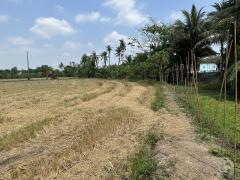 ขายที่ดินแปลงใหญ่และสวย พุทธมณฑลสาย5-202503191536391742373399225.jpg