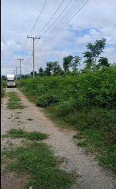 ขายที่ดินเปล่า ขนาด1 ไร่ 250.3 ตร.ว. อำเภออู่ทอง จังหวัดสุพรรณบุรี-202503191611581742375518383.jpg