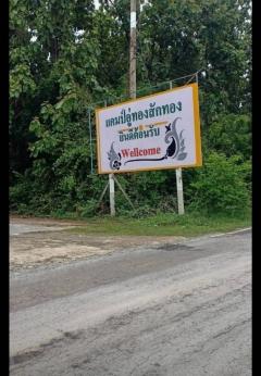 ขายที่ดินเปล่า ขนาด1 ไร่ 250.3 ตร.ว. อำเภออู่ทอง จังหวัดสุพรรณบุรี-202503191611591742375519720.jpg