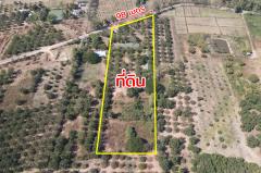 ขายรีสอร์ท น้ำตกตาดหมอก อุทยานแห่งชาติตาดหมอก เมืองเพชรบูรณ์ เพชรบูรณ์-202503191621361742376096167.jpg