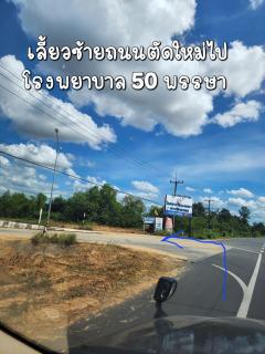 ขายที่ดินเจ้าของขายเอง ถนนตัดใหม่แถวบ้านปลาดุก ตำบลไร่น้อย  อำเภอเมือง จังหวัดอุบลราชธานี-202503200053201742406800875.jpg