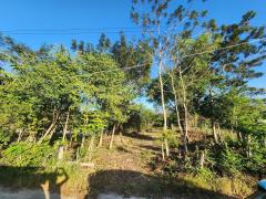 ขายที่ดินเจ้าของขายเอง ถนนตัดใหม่แถวบ้านปลาดุก ตำบลไร่น้อย  อำเภอเมือง จังหวัดอุบลราชธานี-202503200053271742406807362.jpg