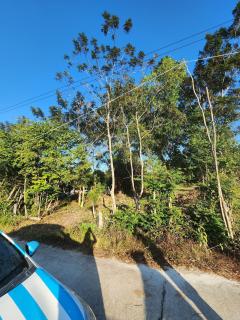 ขายที่ดินเจ้าของขายเอง ถนนตัดใหม่แถวบ้านปลาดุก ตำบลไร่น้อย  อำเภอเมือง จังหวัดอุบลราชธานี-202503200053281742406808186.jpg