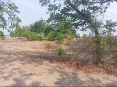 ขายที่ดินเปล่า 273 ตร.ว. ตำบลสนามคลี อำเภอเมือง จังหวัดสุพรรณบุรี-202503200926081742437568606.jpg