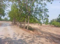 ขายที่ดินเปล่า 273 ตร.ว. ตำบลสนามคลี อำเภอเมือง จังหวัดสุพรรณบุรี-202503200926091742437569829.jpg