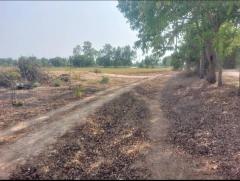 ขายที่ดินเปล่า 273 ตร.ว. ตำบลสนามคลี อำเภอเมือง จังหวัดสุพรรณบุรี-202503200926111742437571039.jpg
