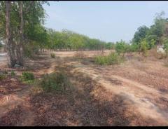 ขายที่ดินเปล่า 273 ตร.ว. ตำบลสนามคลี อำเภอเมือง จังหวัดสุพรรณบุรี-202503200926111742437571642.jpg
