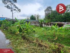 ขายที่ดินแปลงสวย-เนื้อที่-59-ตร.วา-สัต