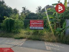 ขายที่ดินเปล่า เนื้อที่ 3 งาน 4 ตร.วา มะขามสูง พิษณุโลก-202503201116151742444175073.jpg
