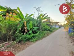 ขายที่ดินเปล่า เนื้อที่ 1 งาน 60.6 ตร.วา ดำเนินสะดวก ราชบุรี-202503202242361742485356348.jpg