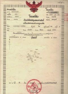 ขายที่ดิน โฉนดครุฑแดง ที่ดิน 481 ตารางวา เพชรบูรณ์-202503210012121742490732074.jpg