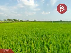 ขายที่ดินเปล่า เนื้อที่ 3 ไร่ 1 งาน 87 ตร.วา ท่าทราย นครนายก-202503211143161742532196972.jpg