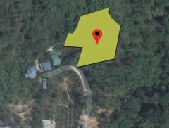 ขายที่ดินภูเก็ต วิวทะเลหาดป่าตอง ทำเลทองสำหรับการลงทุน-202503211211421742533902209.jpg