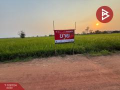 ขายที่ดินเปล่า เนื้อที่ 2 ไร่ 2 งาน 9 ตร.วา คุ้งตะเภา อุตรดิตถ์-202503211418091742541489991.jpg