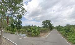ขายที่ดินสวย 7-2-89.3 ไร่ ยกแปลงและแบ่งขาย บ้านแพ้ว สมุทรสาคร-202503211442571742542977444.jpg