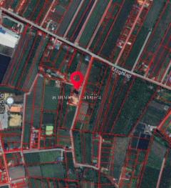 ขายที่ดินสวย 7-2-89.3 ไร่ ยกแปลงและแบ่งขาย บ้านแพ้ว สมุทรสาคร-202503211442581742542978037.jpg