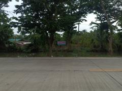 ขายที่ดินสวย 7-2-89.3 ไร่ ยกแปลงและแบ่งขาย บ้านแพ้ว สมุทรสาคร-202503211443001742542980667.jpg