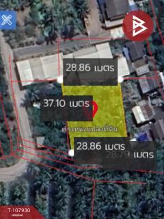 ขายที่ดิน เนื้อที่ 2 งาน 82 ตารางวา คลองเขิน สมุทรสงคราม-202503211527411742545661124.jpg