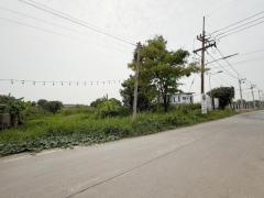 ขายที่ดินซอยคลองหก ตะวันตก19 (ซ.สุทธิพันธ์) ( รหัสทรัพย์ 202536 ) ต.คลองหก อ.คลองหลวง จ.ปทุมธานี-202503211641581742550118759.jpg