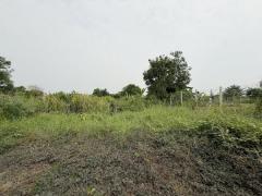 ขายที่ดินซอยคลองหก ตะวันตก19 (ซ.สุทธิพันธ์) ( รหัสทรัพย์ 202536 ) ต.คลองหก อ.คลองหลวง จ.ปทุมธานี-202503211642001742550120486.jpg
