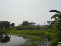 ขายที่ดินซอยคลองหก ตะวันตก19 (ซ.สุทธิพันธ์) ( รหัสทรัพย์ 202536 ) ต.คลองหก อ.คลองหลวง จ.ปทุมธานี-202503211642011742550121075.jpg