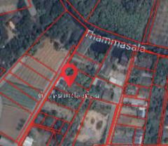 ขายที่ดิน 4 ไร่ 15 ตร.ว. เมืองนครปฐม นครปฐม-202503220941331742611293562.jpg