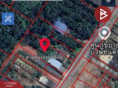 ขายบ้านเดี่ยวชั้นเดียว เนื้อที่ 3 งาน 31 ตร.วา คลองเขิน สมุทรสงคราม-202503221029321742614172843.jpg