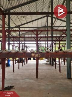 ขาย/เช่าโกดังพร้อมที่ดิน เนื้อที่ 9 ไร่ 37 ตร.วา บ้านดุง อุดรธานี-202503231048111742701691879.jpg