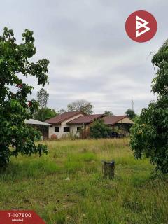 ขาย/เช่าโกดังพร้อมที่ดิน เนื้อที่ 9 ไร่ 37 ตร.วา บ้านดุง อุดรธานี-202503231048131742701693764.jpg