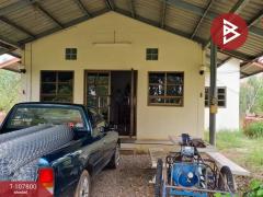 ขาย/เช่าโกดังพร้อมที่ดิน เนื้อที่ 9 ไร่ 37 ตร.วา บ้านดุง อุดรธานี-202503231048141742701694383.jpg