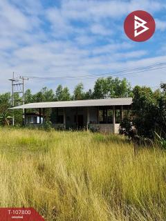 ขาย/เช่าโกดังพร้อมที่ดิน เนื้อที่ 9 ไร่ 37 ตร.วา บ้านดุง อุดรธานี-202503231048151742701695640.jpg