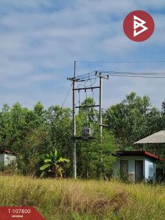 ขาย/เช่าโกดังพร้อมที่ดิน เนื้อที่ 9 ไร่ 37 ตร.วา บ้านดุง อุดรธานี-202503231048161742701696279.jpg