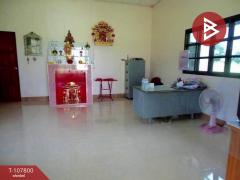 ขาย/เช่าโกดังพร้อมที่ดิน เนื้อที่ 9 ไร่ 37 ตร.วา บ้านดุง อุดรธานี-202503231048171742701697586.jpg