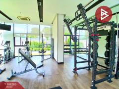 ขายคอนโด นอตติ้ง ฮิลล์ สุขุมวิท-แพรกษา (Notting Hill Sukhumvit-Praksa) สมุทรปราการ-202503231150571742705457178.jpg