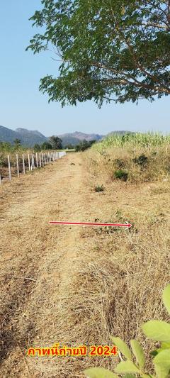 ขายที่ดิน 2ไร่ สวย ทรงสีเหลี่ยมผืนผ้า ใกล้แม่น้ำแควน้อย อยู่บ้านท่ามะเดื่อ หมู่2 จ.กาญจนบุรี อ.ไทรโยค ต.ศรีมงคล โทร 0810117012-202503231258411742709521528.jpg