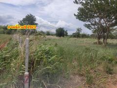 ขายที่ดิน 2ไร่ สวย ทรงสีเหลี่ยมผืนผ้า ใกล้แม่น้ำแควน้อย อยู่บ้านท่ามะเดื่อ หมู่2 จ.กาญจนบุรี อ.ไทรโยค ต.ศรีมงคล โทร 0810117012-202503231258491742709529713.jpg
