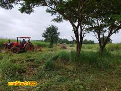ขายที่ดิน 2ไร่ สวย ทรงสีเหลี่ยมผืนผ้า ใกล้แม่น้ำแควน้อย อยู่บ้านท่ามะเดื่อ หมู่2 จ.กาญจนบุรี อ.ไทรโยค ต.ศรีมงคล โทร 0810117012-202503231258501742709530882.jpg