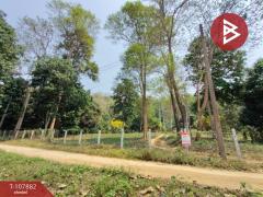 ขายที่ดินพร้อมสวนทุเรียน เนื้อที่ 7 ไร่ 1 งาน 11 ตร.วา ลับแล อุตรดิตถ์
