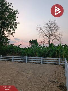 ขายที่ดินเปล่าถมแล้ว เนื้อที่ 61.2 ตร.วา บ้านยาง นครปฐม-202503231513471742717627467.jpg