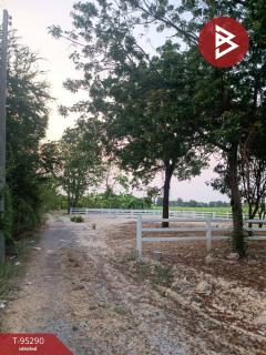 ขายที่ดินเปล่าถมแล้ว เนื้อที่ 61.2 ตร.วา บ้านยาง นครปฐม-202503231513481742717628126.jpg
