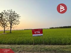 ขายที่ดิน เนื้อที่ 2 ไร่ 41 ตร.วา คุ้งตะเภา อุตรดิตถ์-202503231545241742719524001.jpg